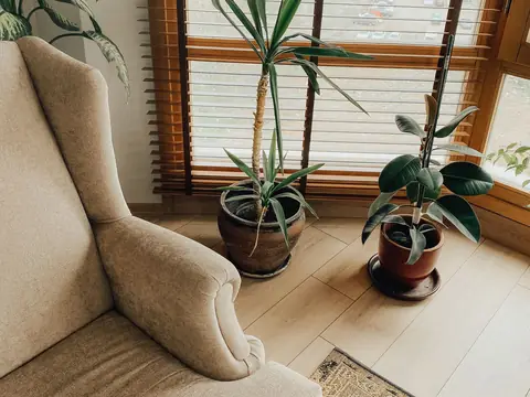 A calm corner with a beige armchair, house plants and tall windows