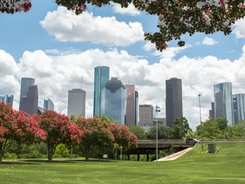 Blossoming trees and green lawn in a Houston park with towers beyond